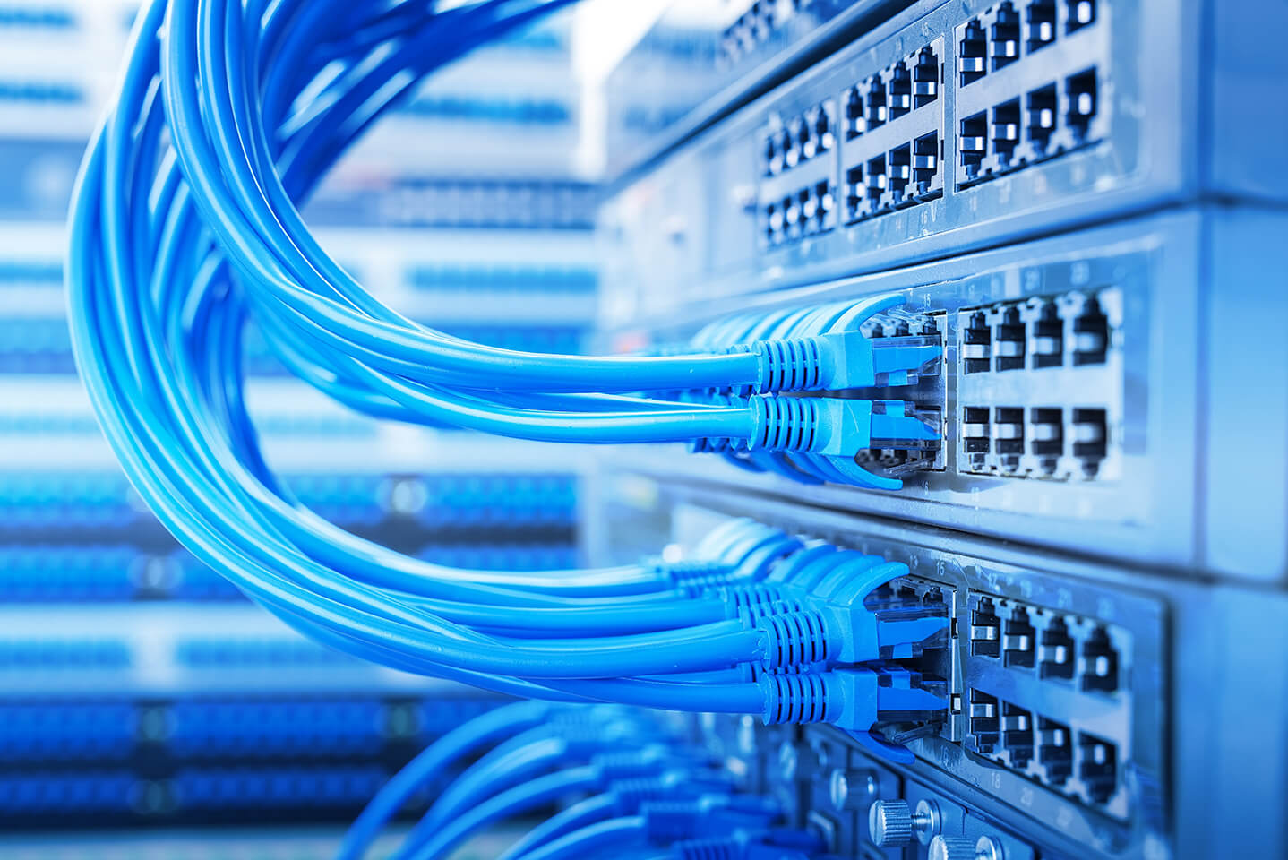 Netzwerkkabel in einem Serverraum, angeschlossen an Netzwerk-Switches für Datenübertragung und Konnektivität